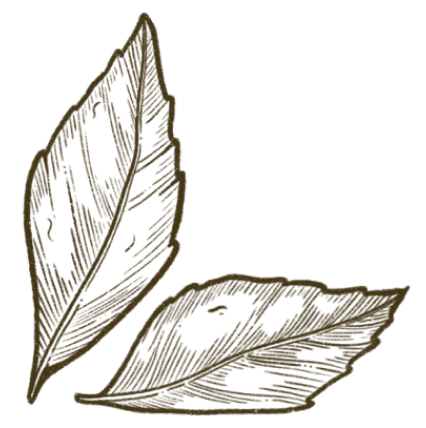 las brasas,restaurante en balanegra las brasas